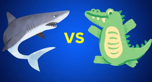 requin vs crocodile